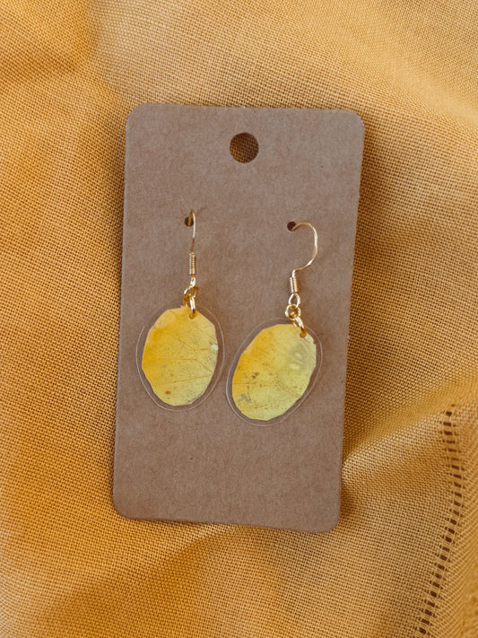 Golden Yellow Moth Wing Earrings – 18k Gold Plated Sterling Silver