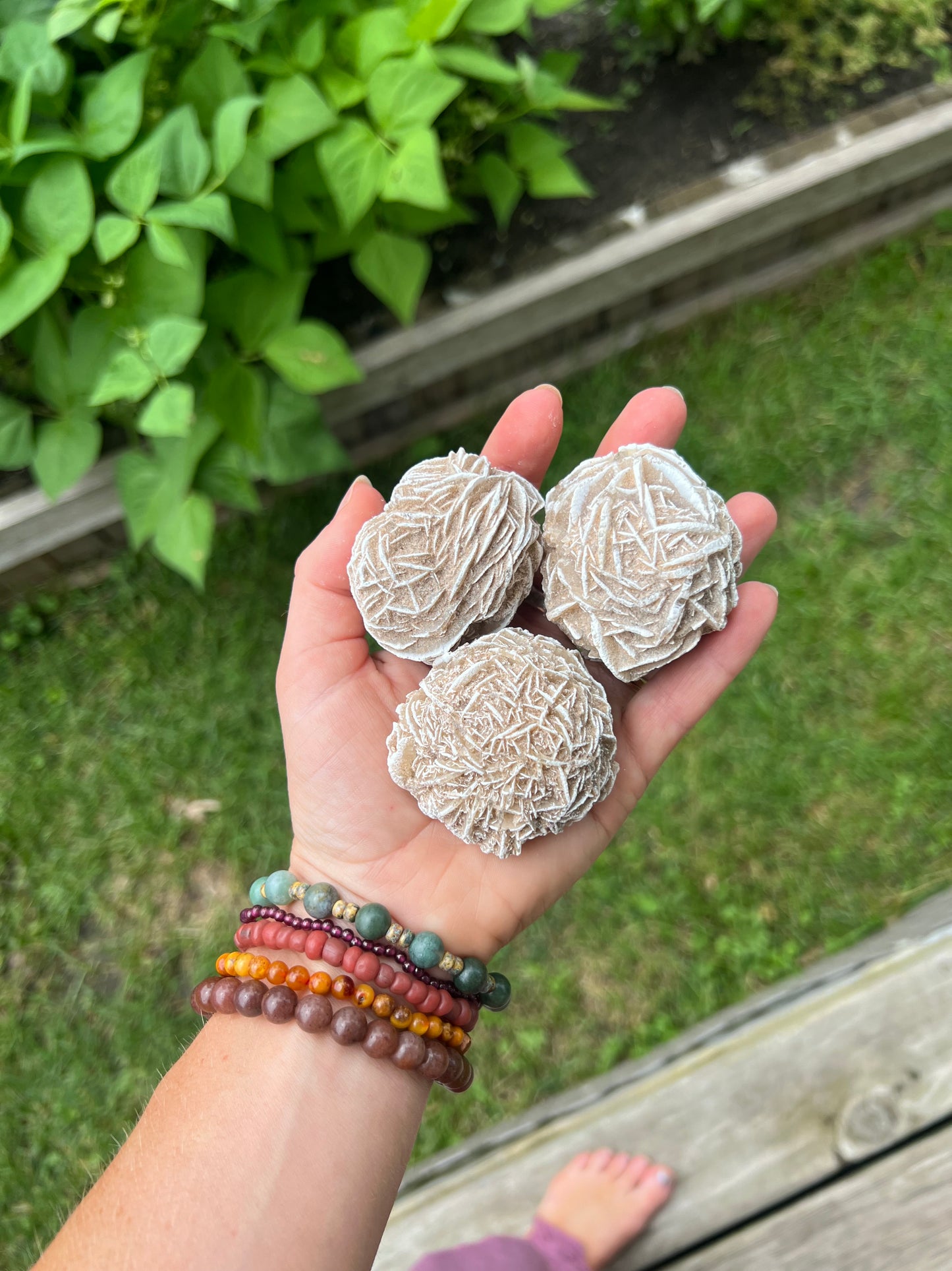 Desert Rose Selenite