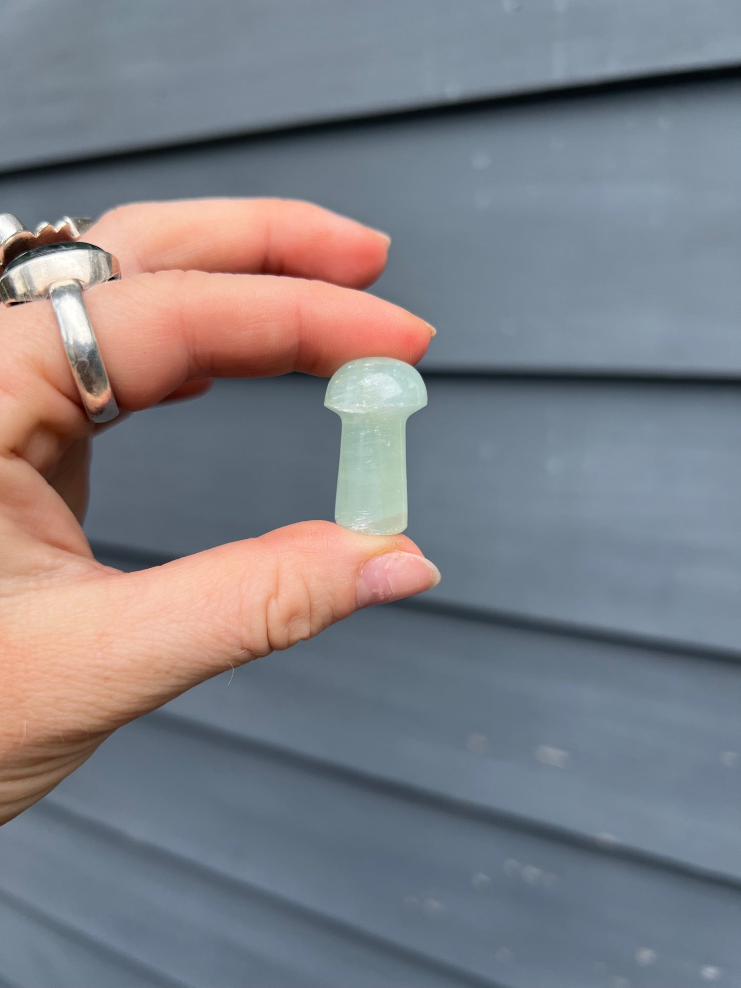 Blue Calcite Carved Mushroom
