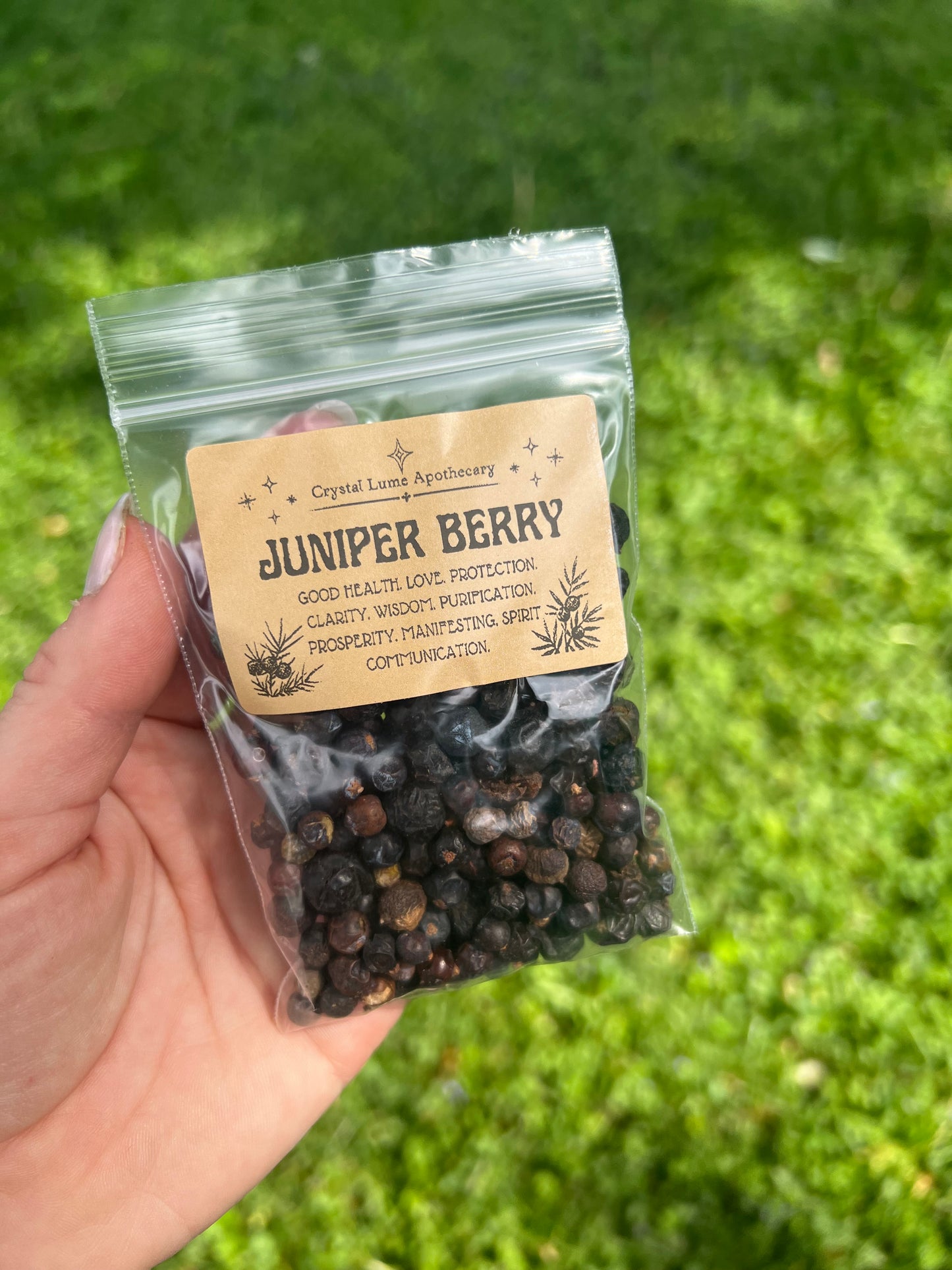 Juniper Berry 1oz herb