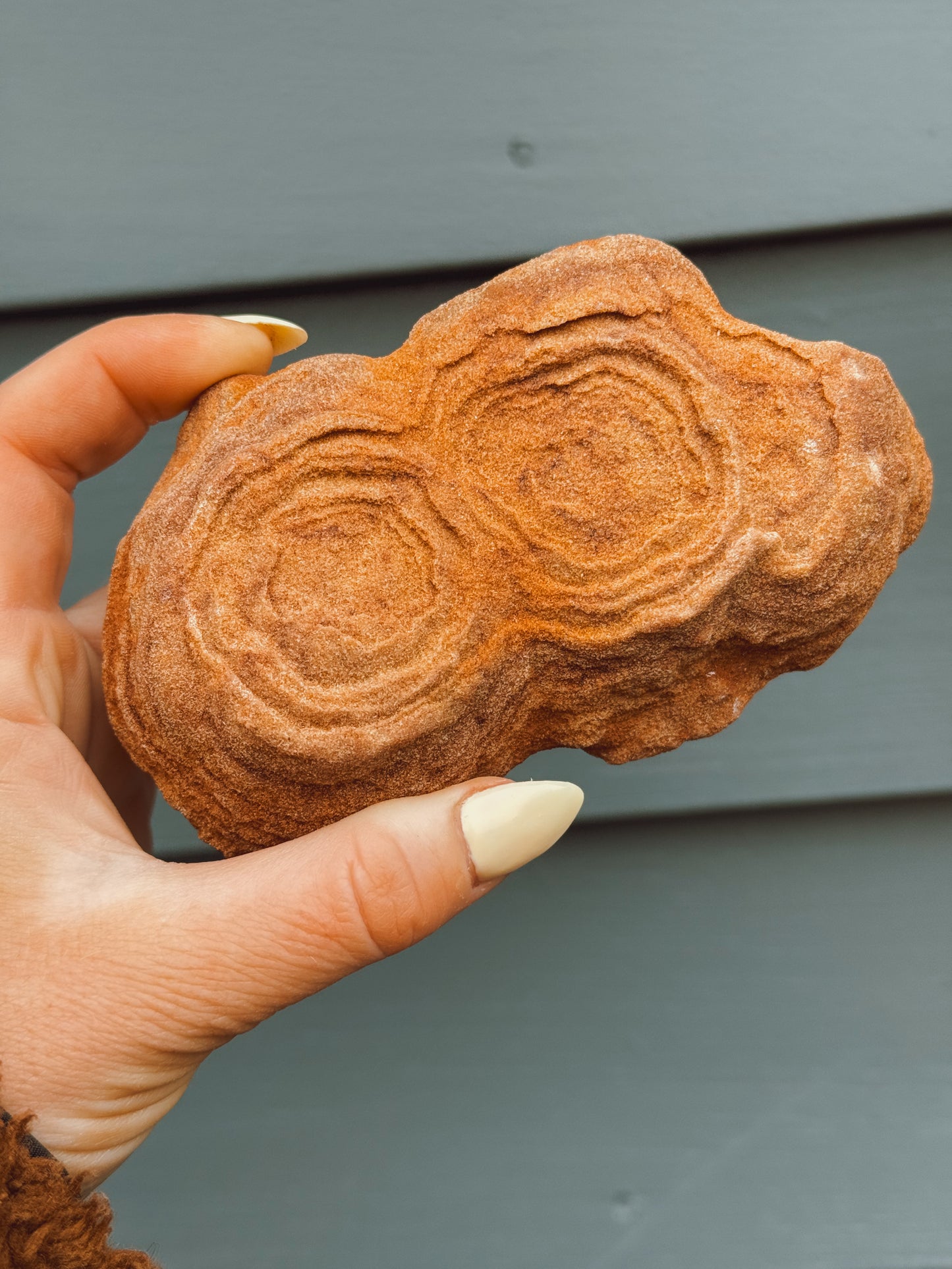 Stramatolite Sandstone