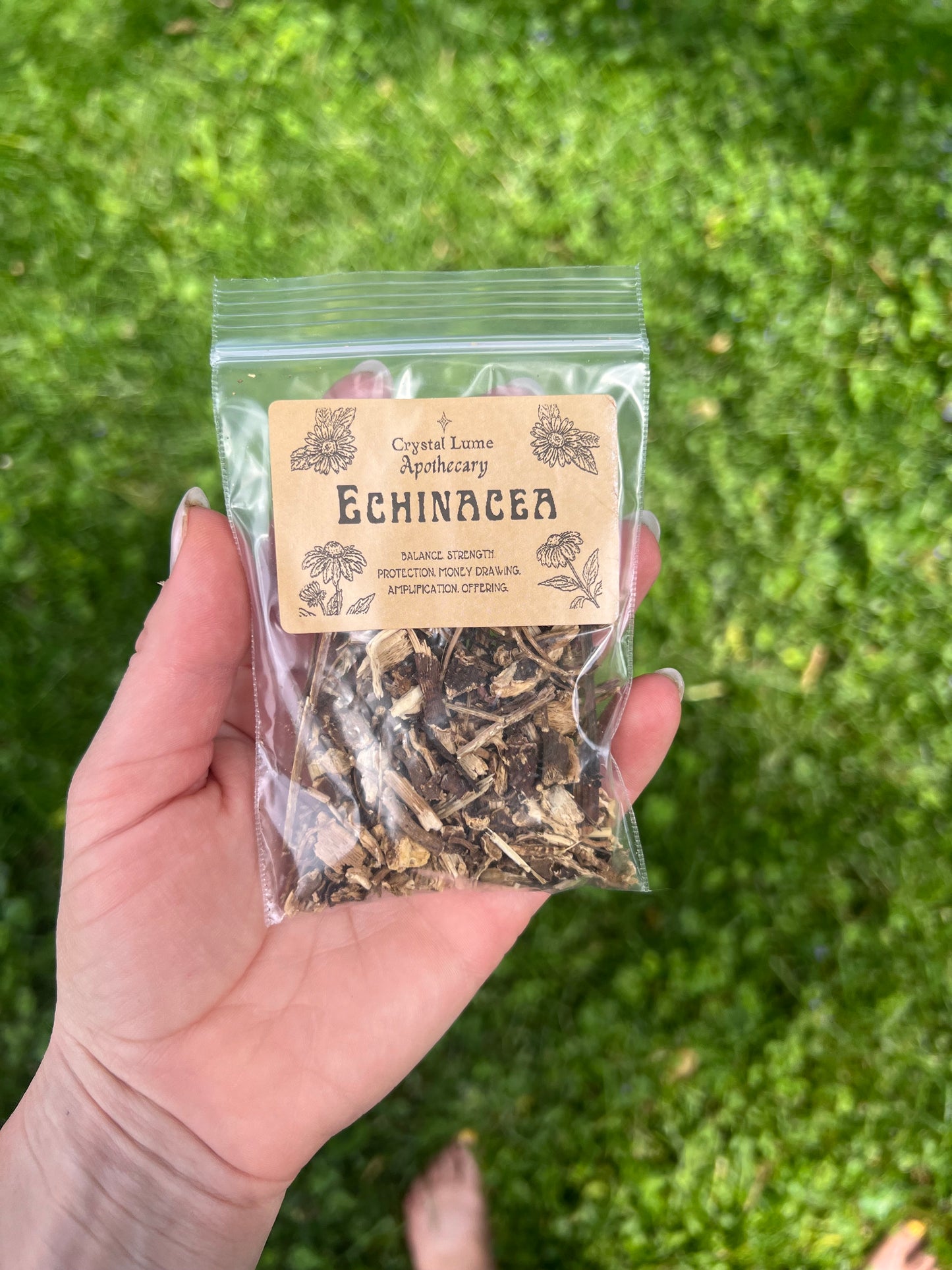 Echinacea 1oz bag
