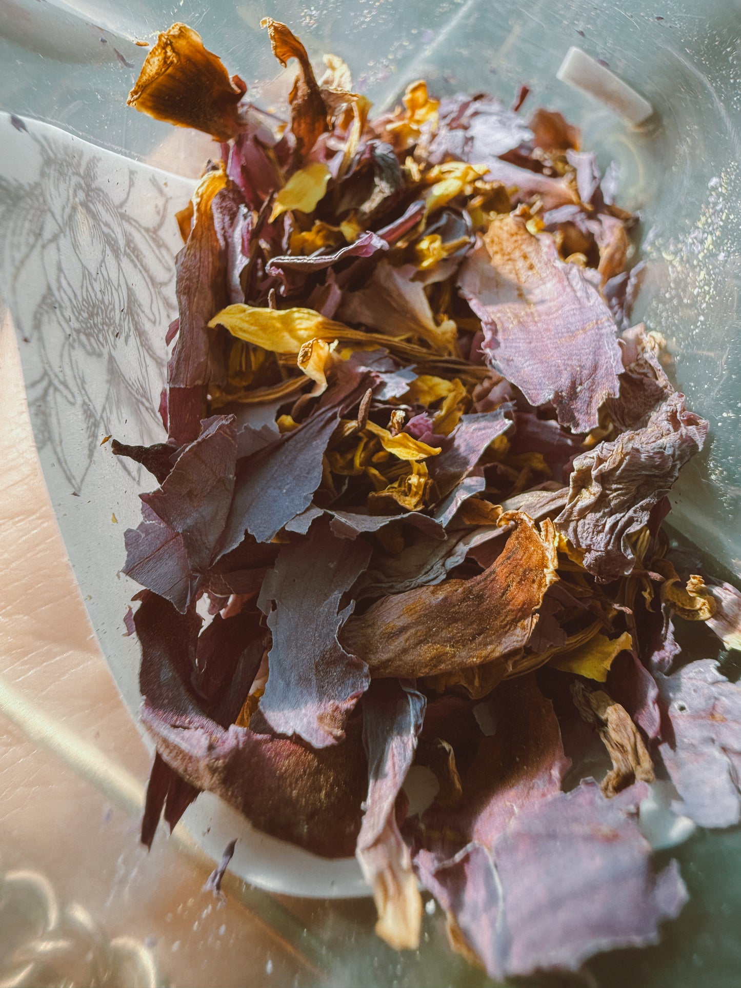 Blue Lotus Flower Petals