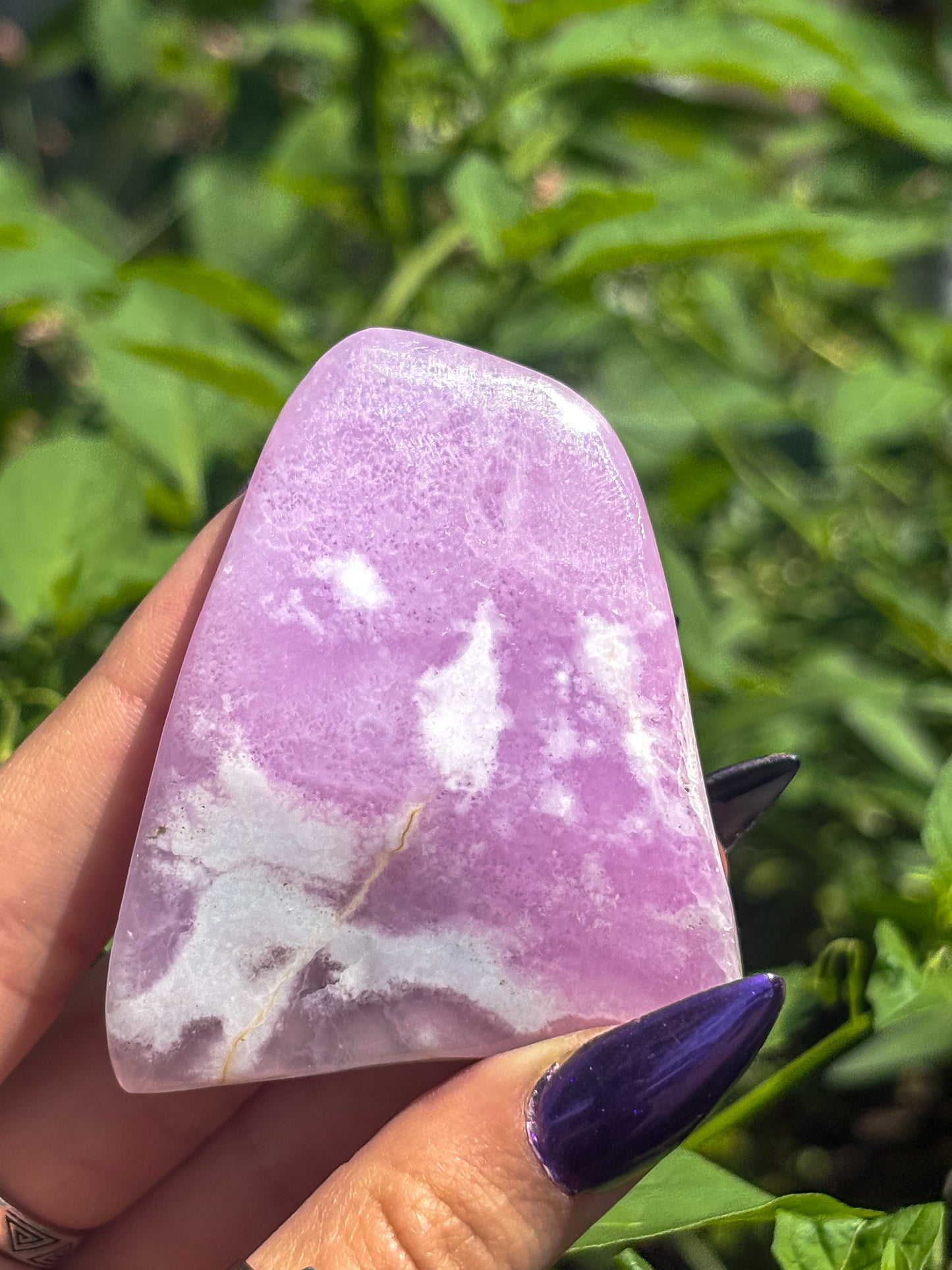 Rare Pink Aragonite Standing Freeform