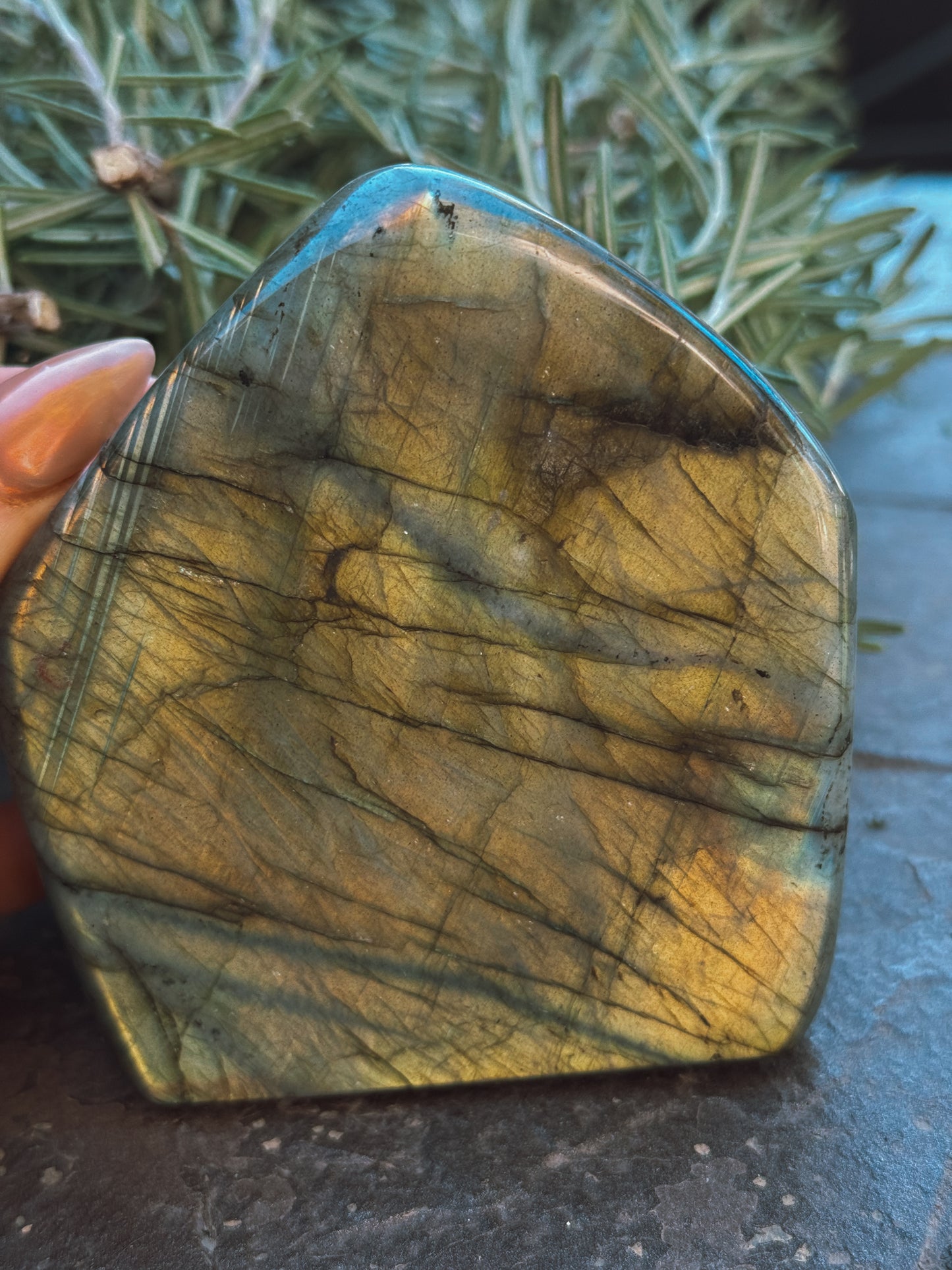 Labradorite Standing Freeform – Medium