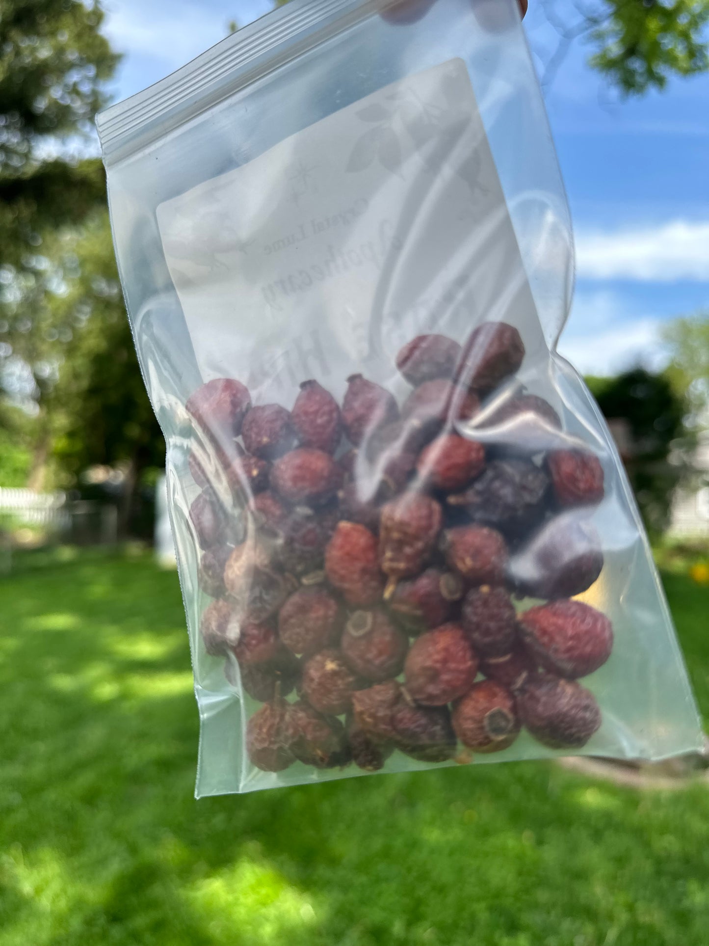 Rose Hips 1oz bag