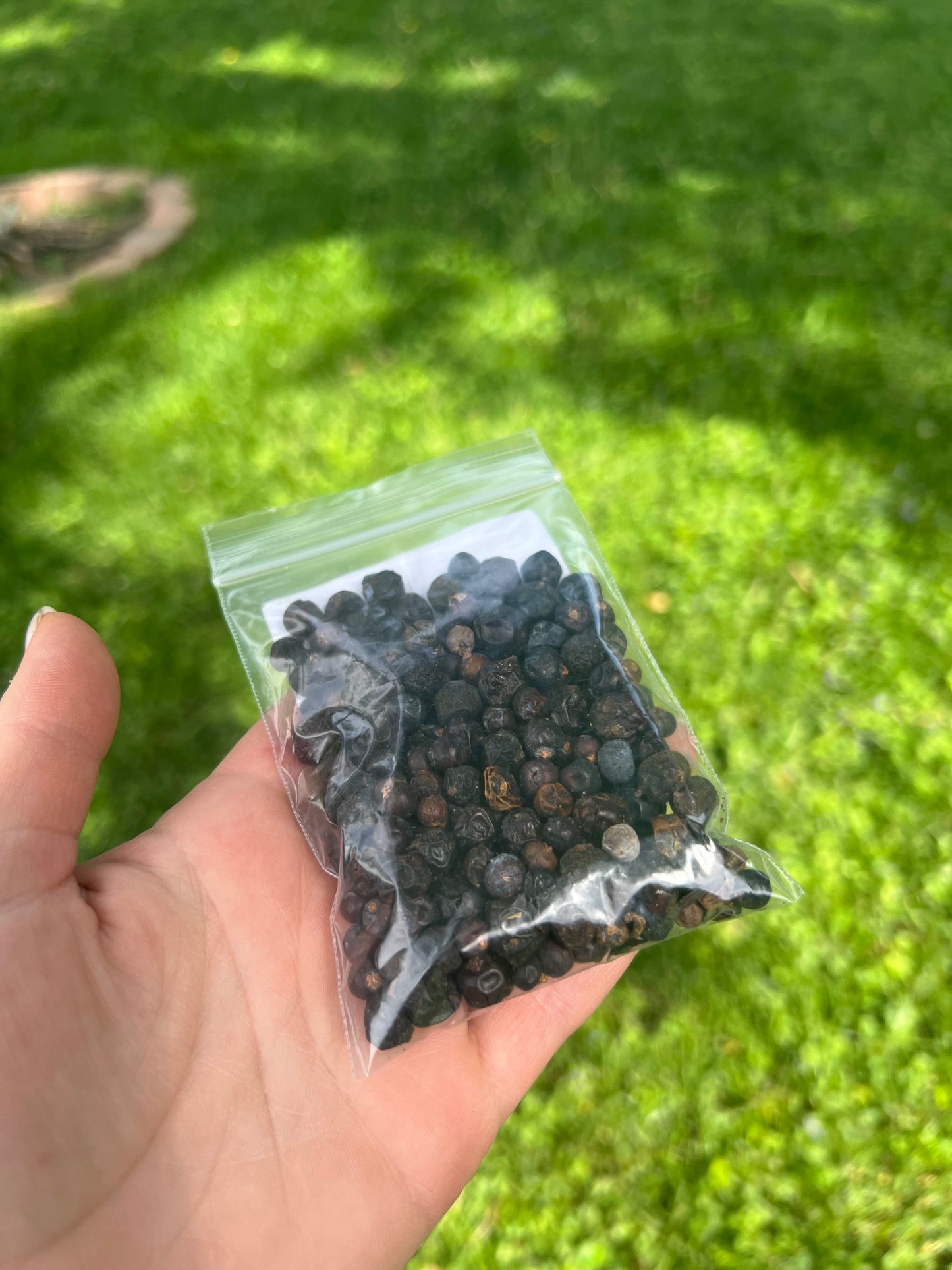 Juniper Berry 1oz herb