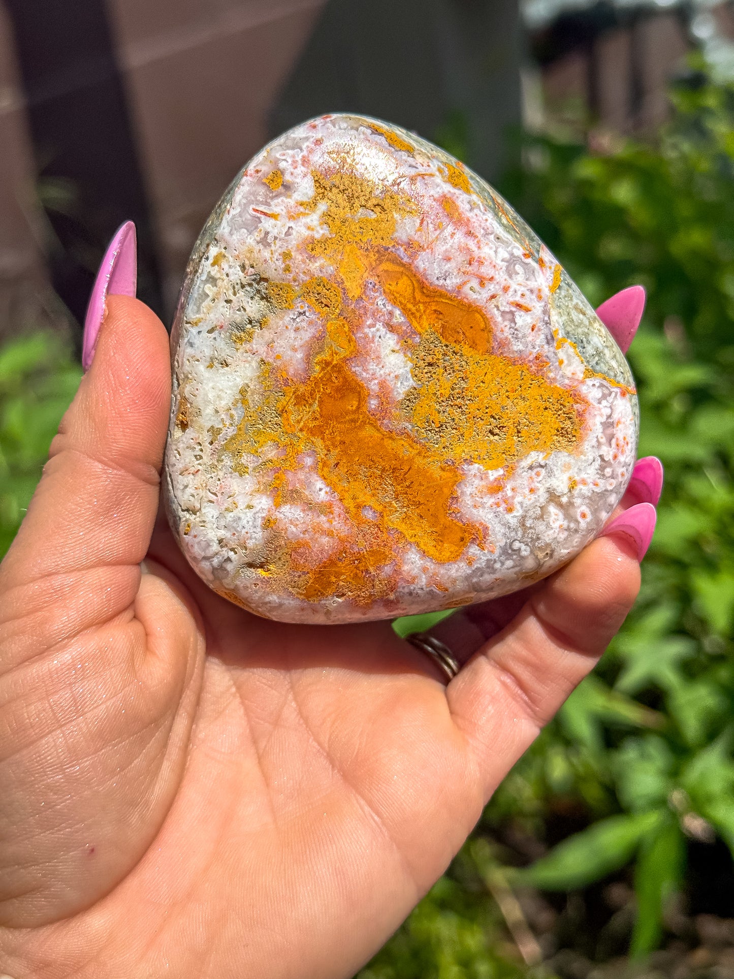 Bumblebee Jasper Freeform