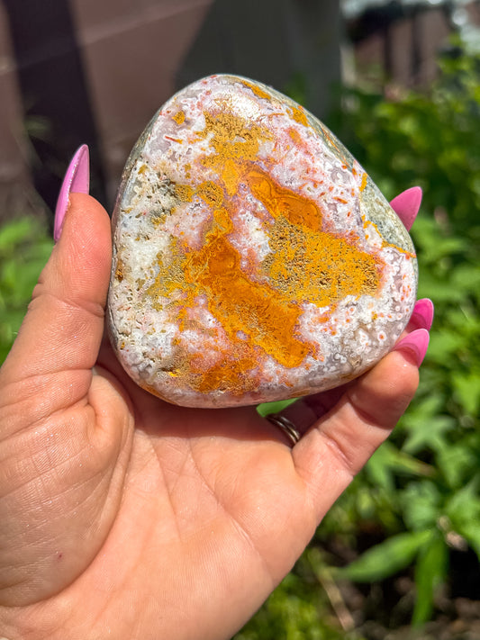 Bumblebee Jasper Freeform