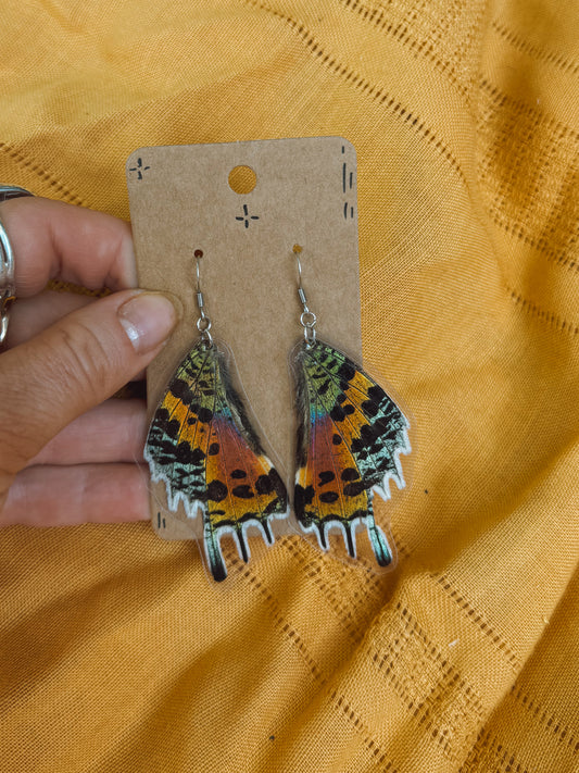 Rainbow Sunset Moth Wing Earrings – Stainless Steel