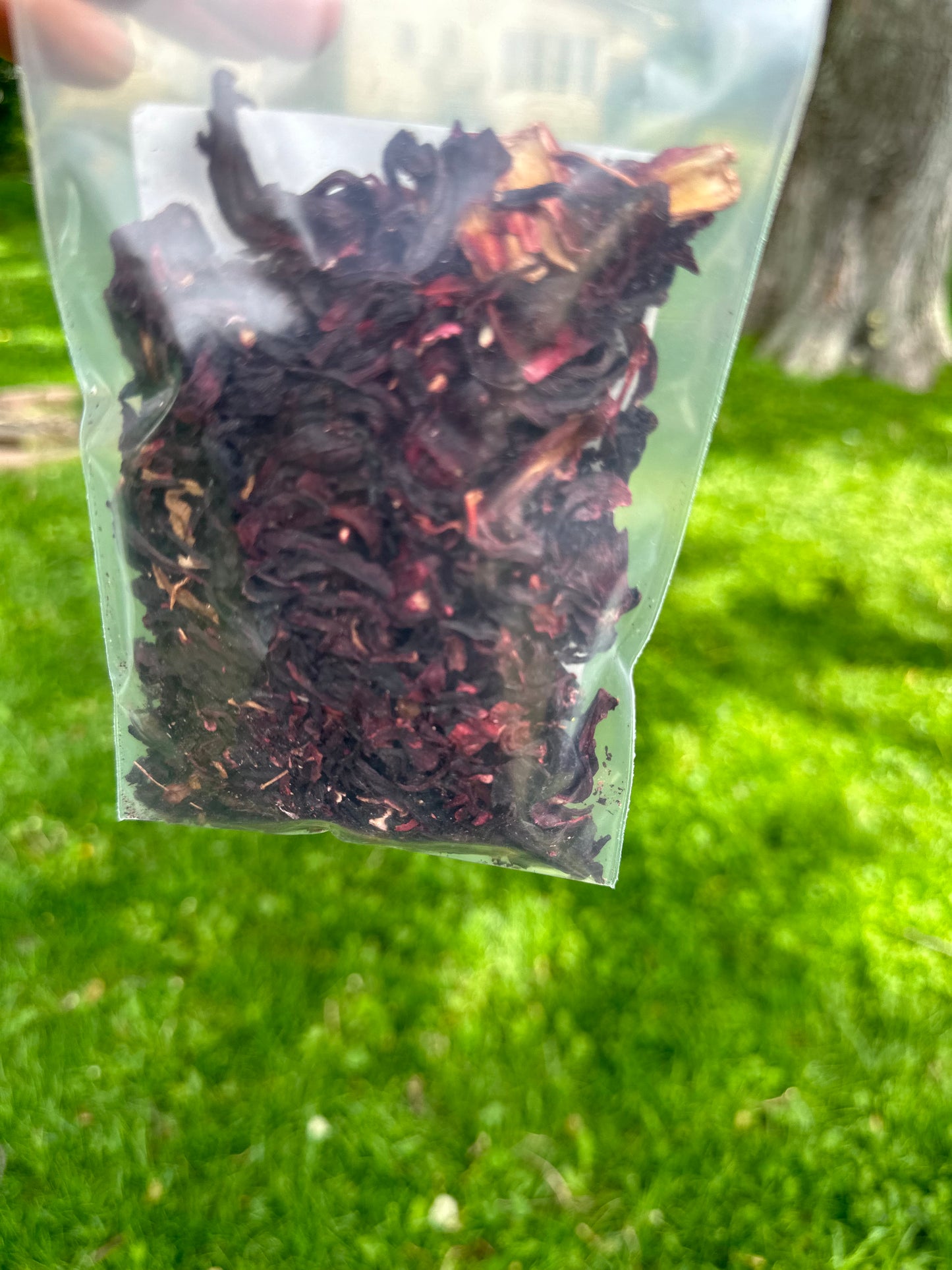 Hibiscus Flower 1oz