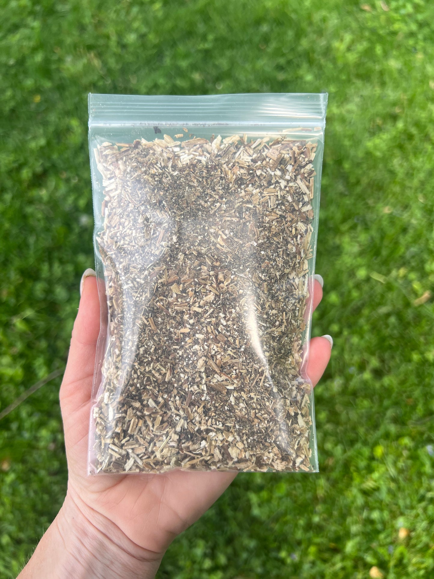Motherwort 1oz herb