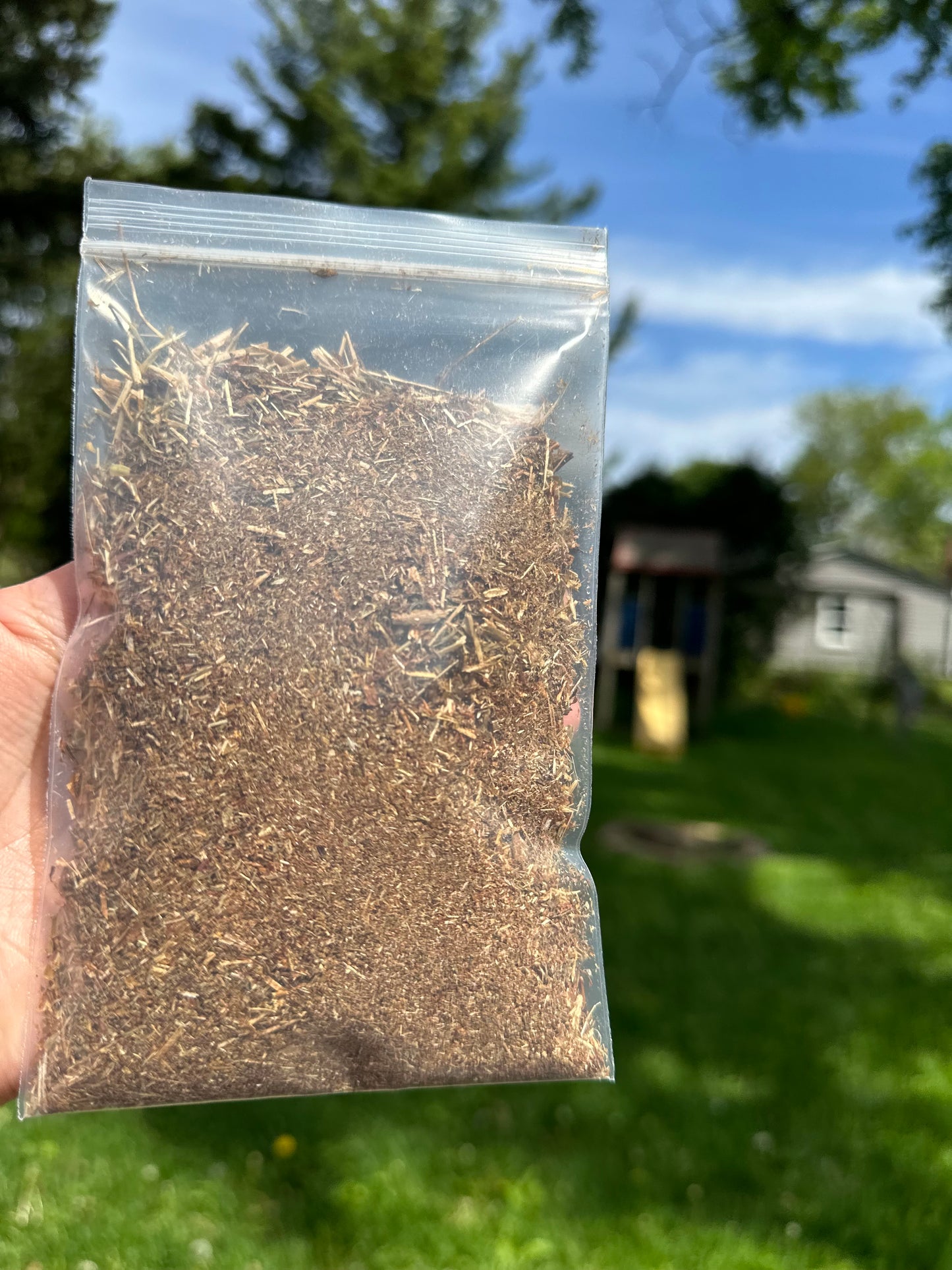 St. John’s wort 1oz bag