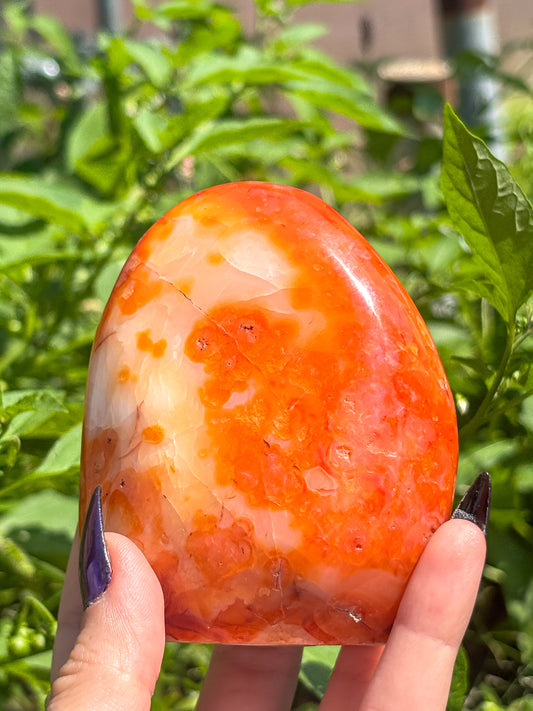 Carnelian Standing Freeform