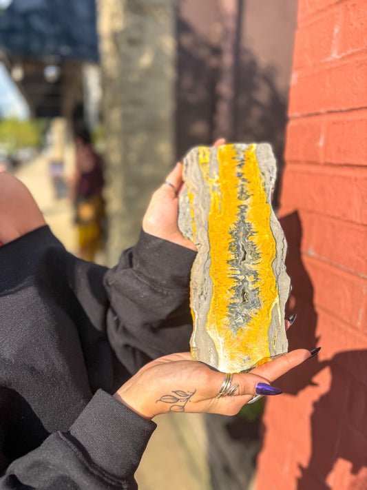 Giant Bumblebee Jasper Slab | Rare Indonesian Collector’s Display Specimen