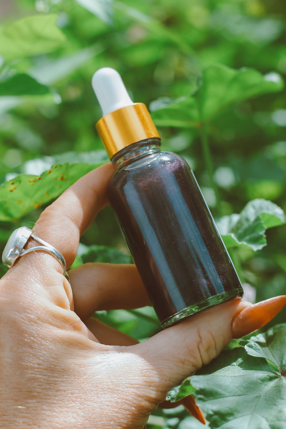 Belladonna Nightshade Flower Oil