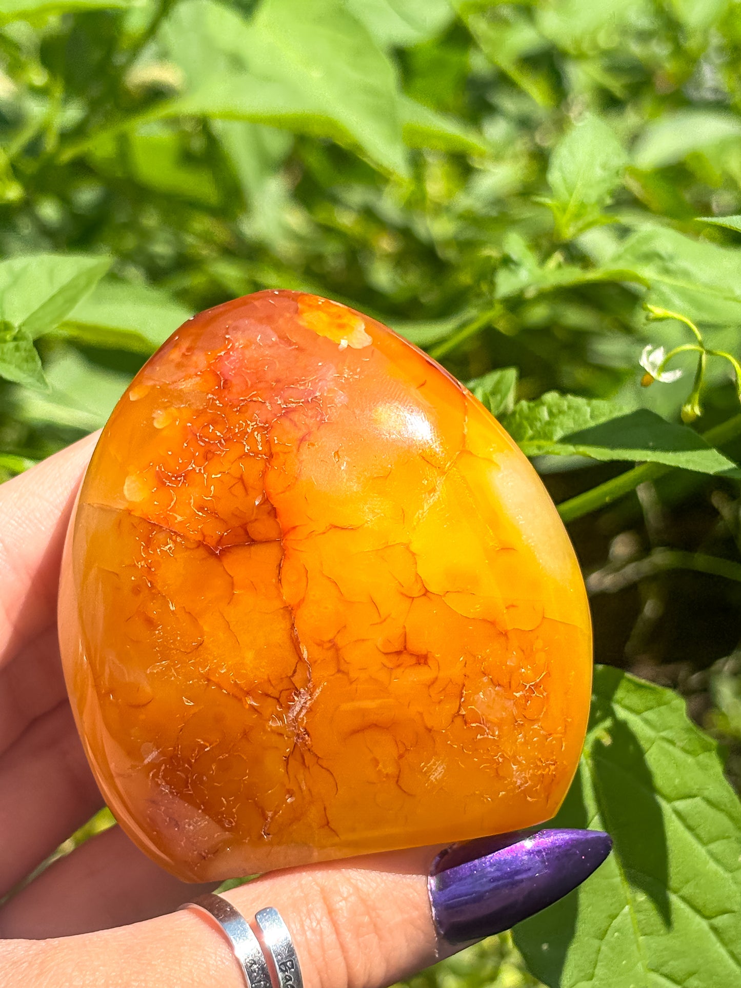 Carnelian Standing Freeform