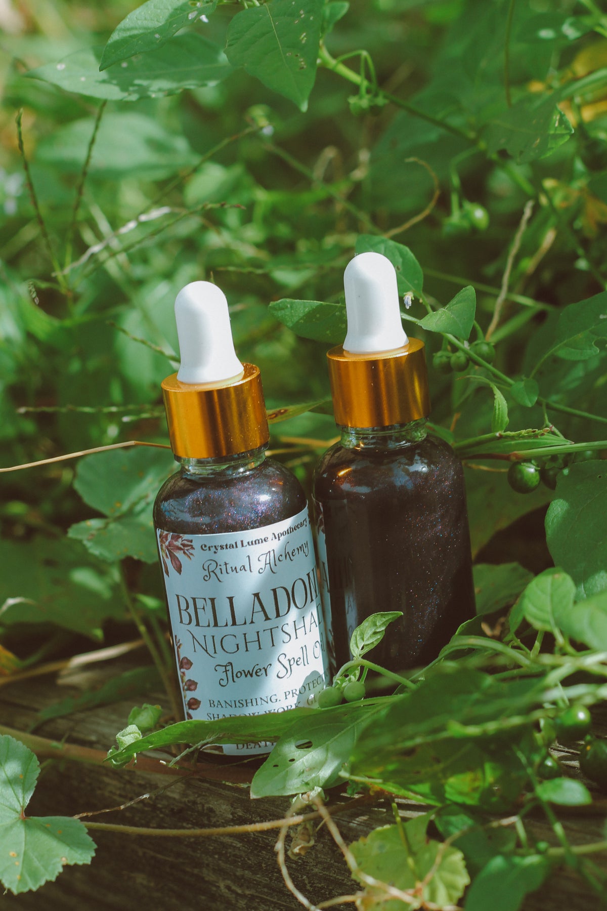 Belladonna Nightshade Flower Oil