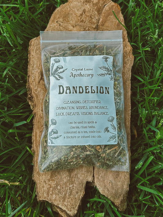 Dandelion Leaf