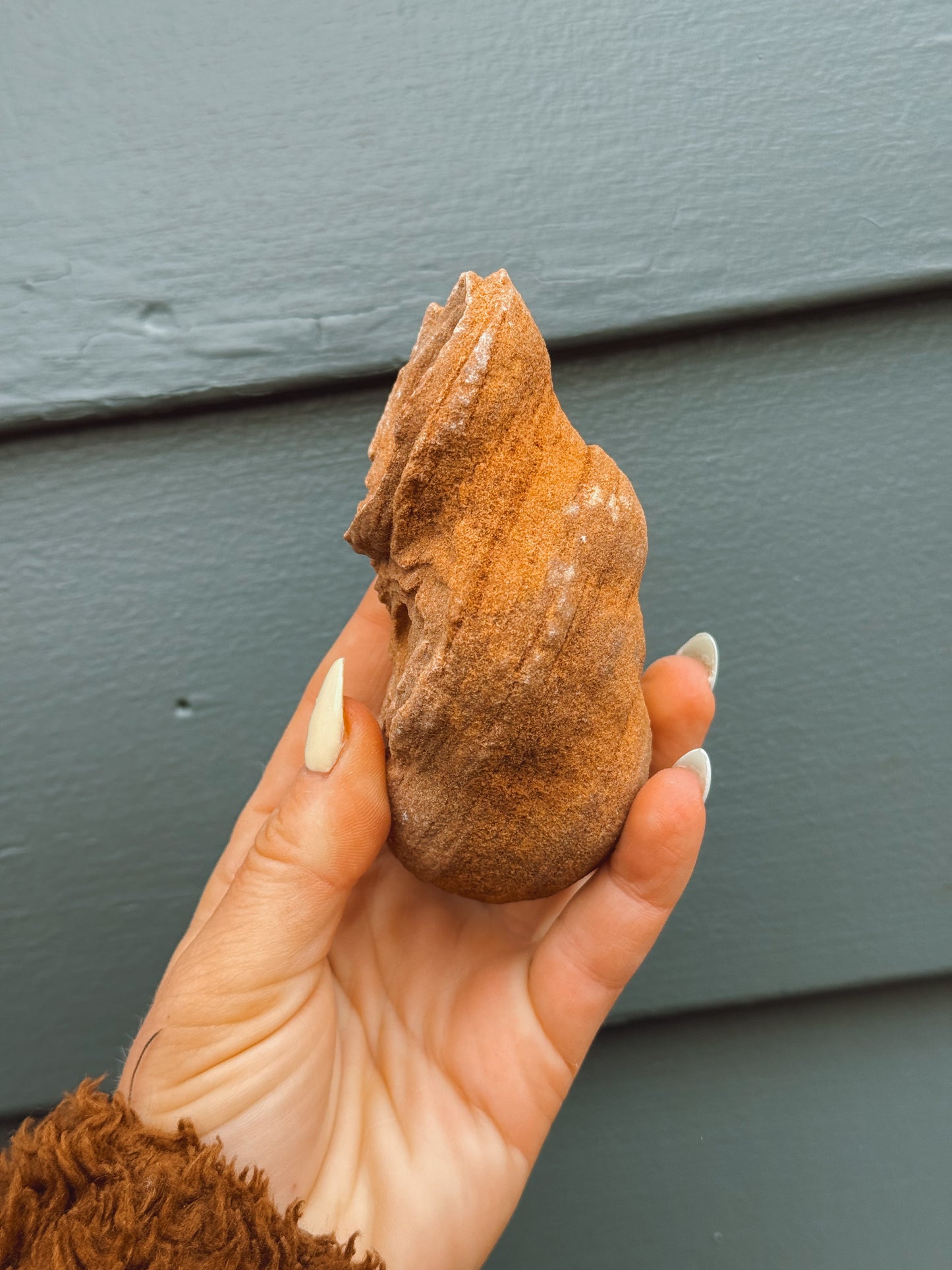 Stramatolite Sandstone