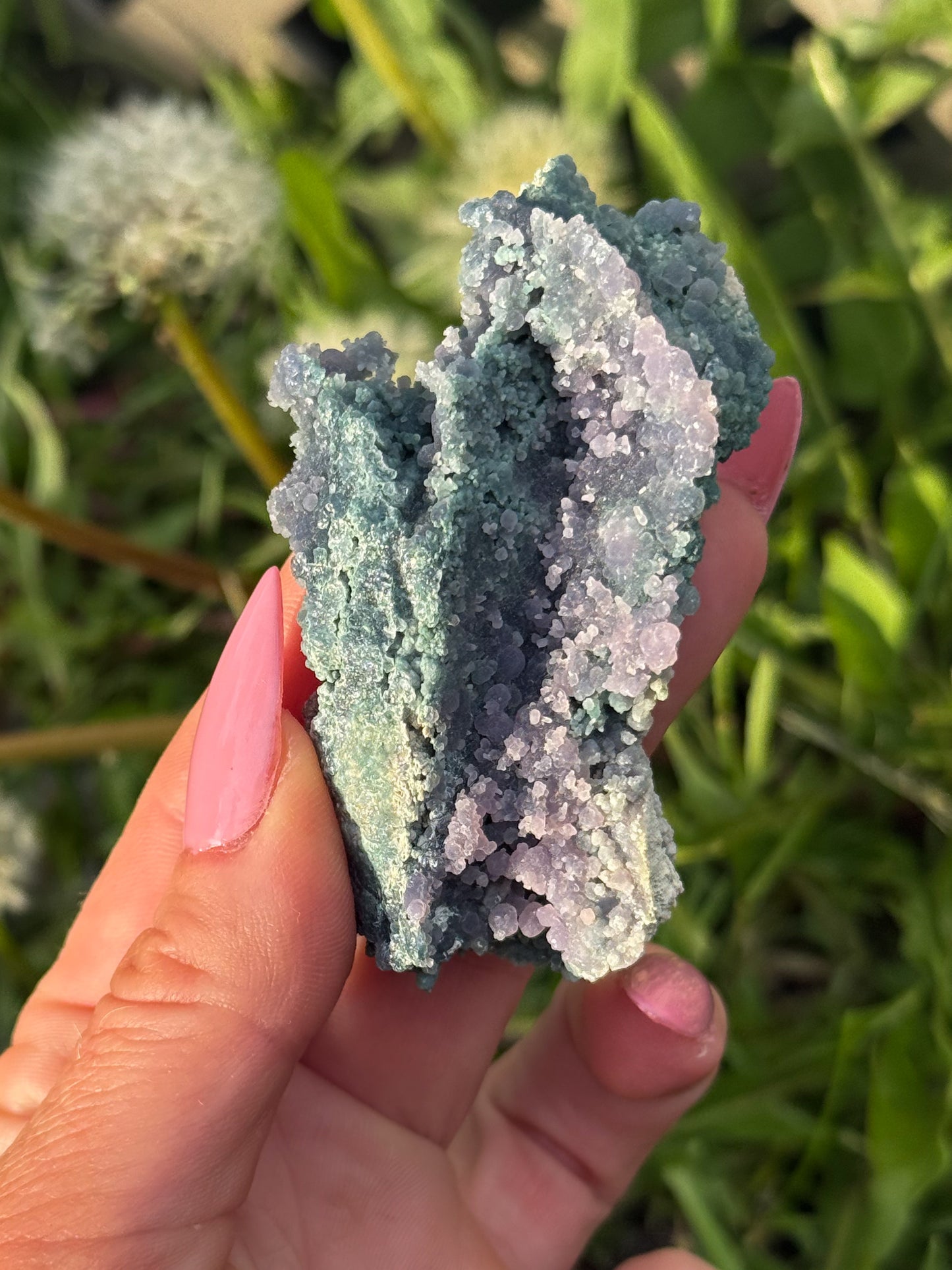 Grape Chalcedony (C)