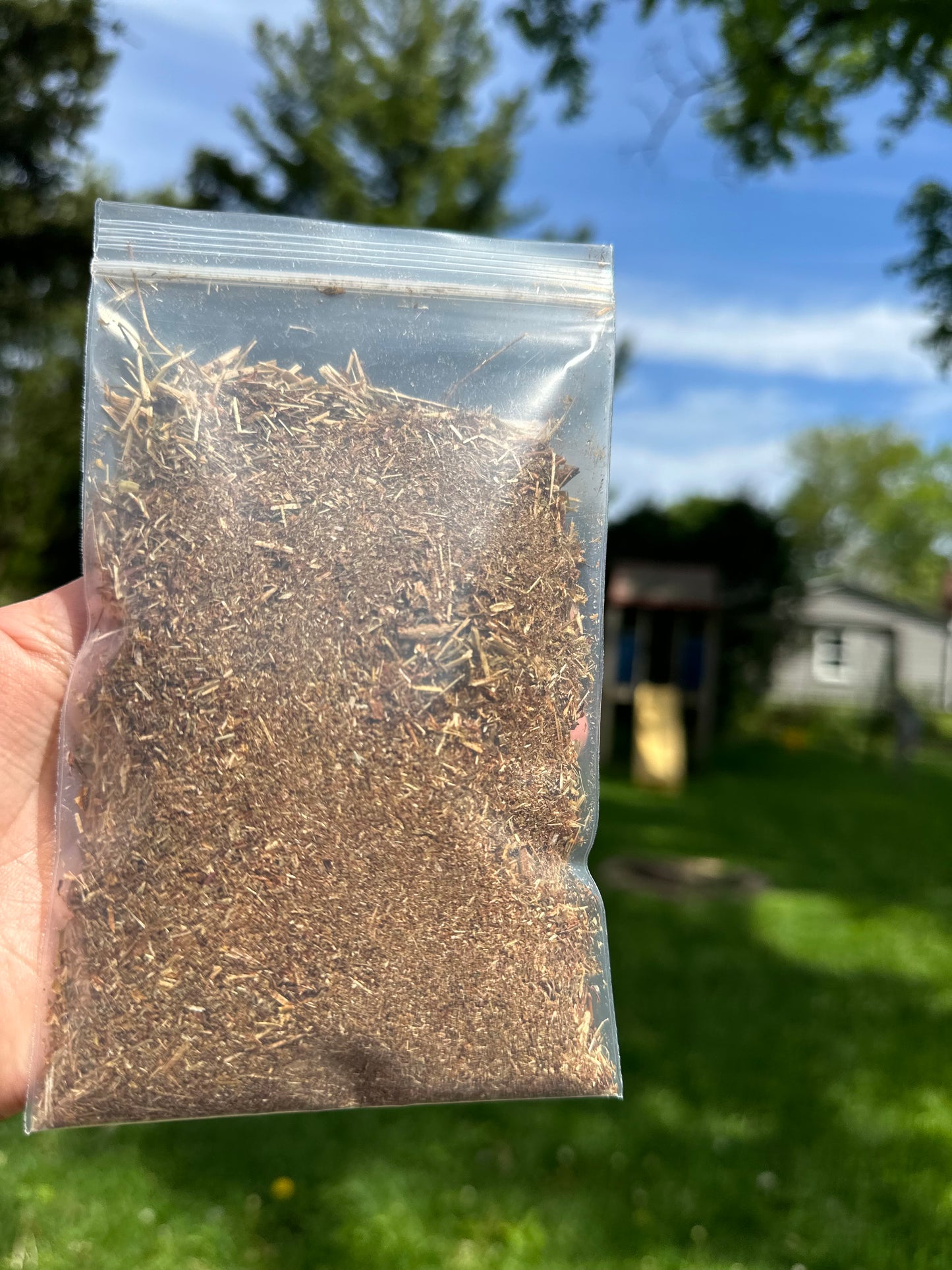 St. John’s wort 1oz bag