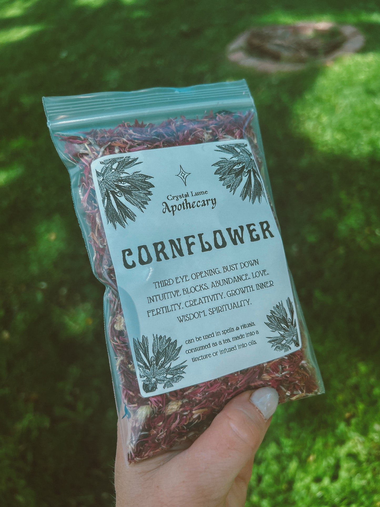 Red Cornflower
