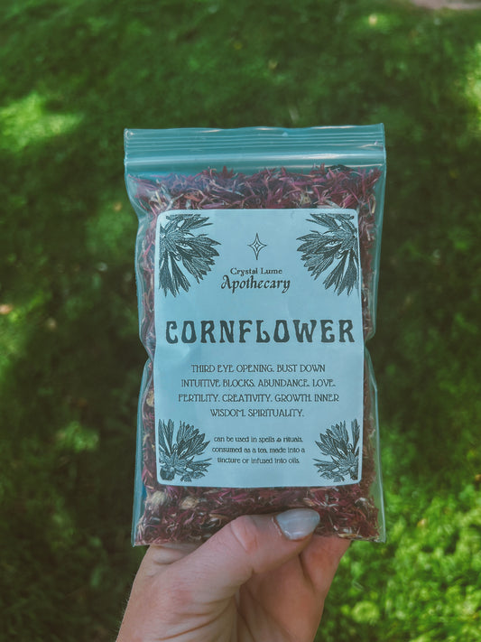 Red Cornflower