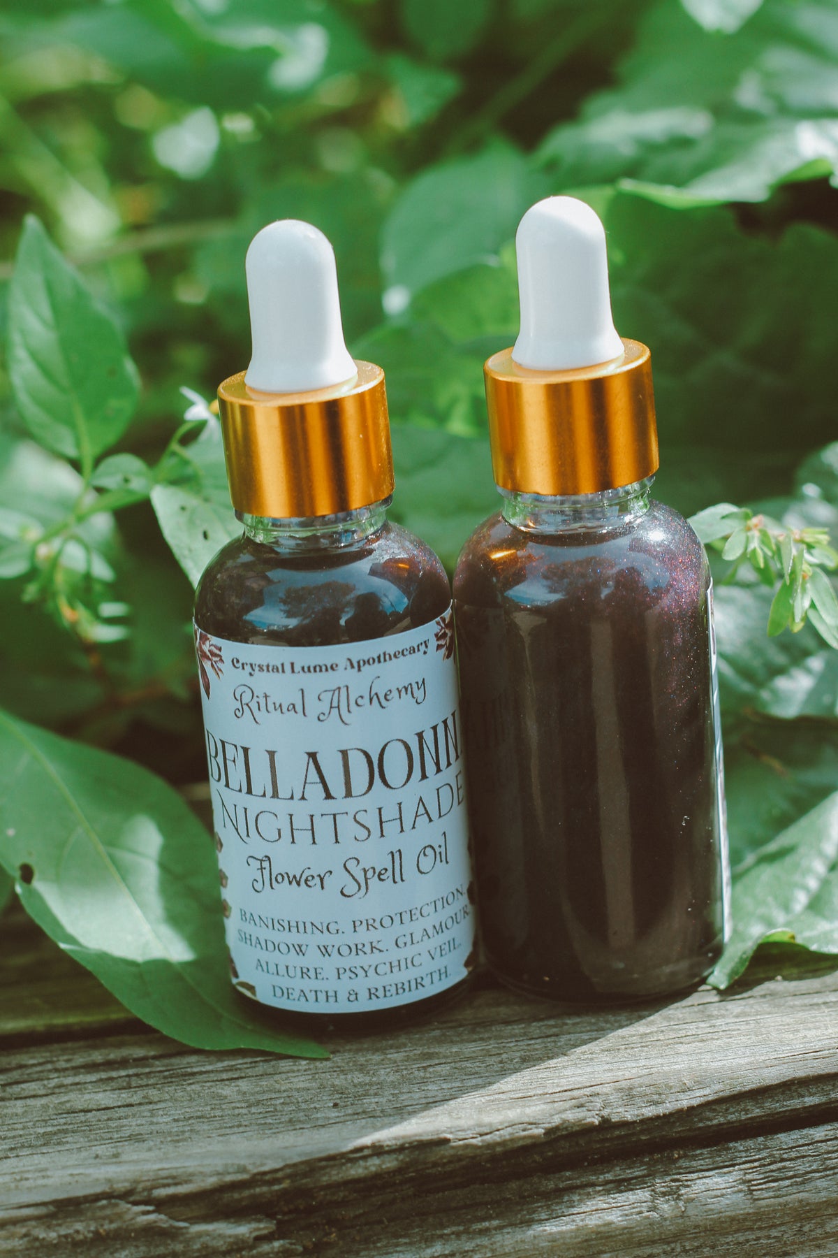 Belladonna Nightshade Flower Oil
