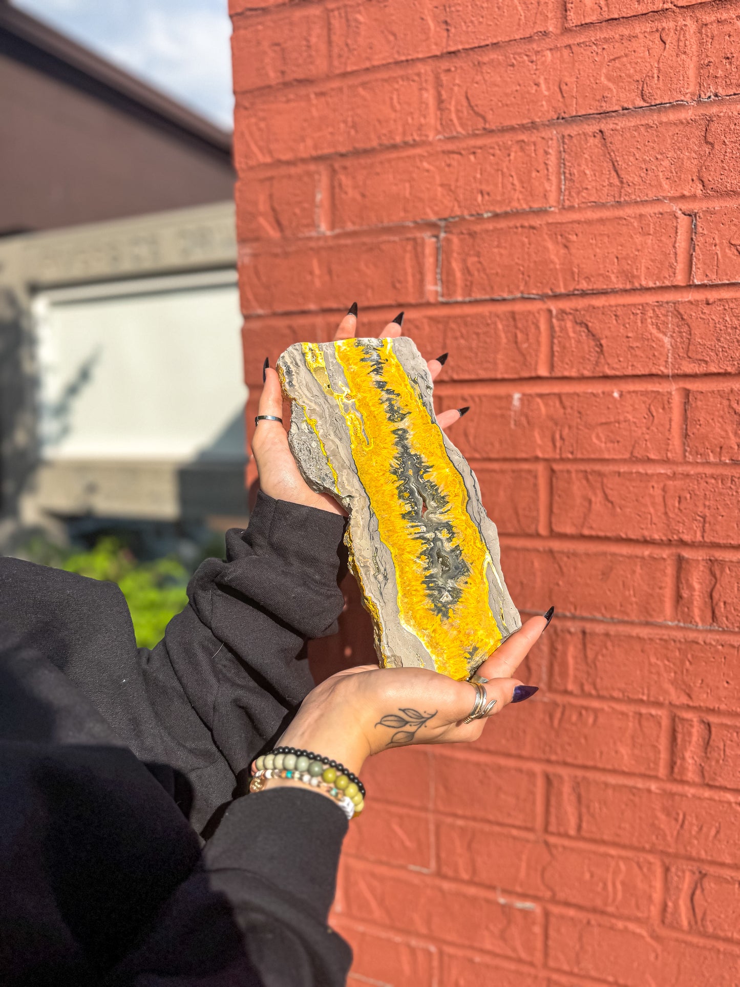 Giant Bumblebee Jasper Slab | Rare Indonesian Collector’s Display Specimen