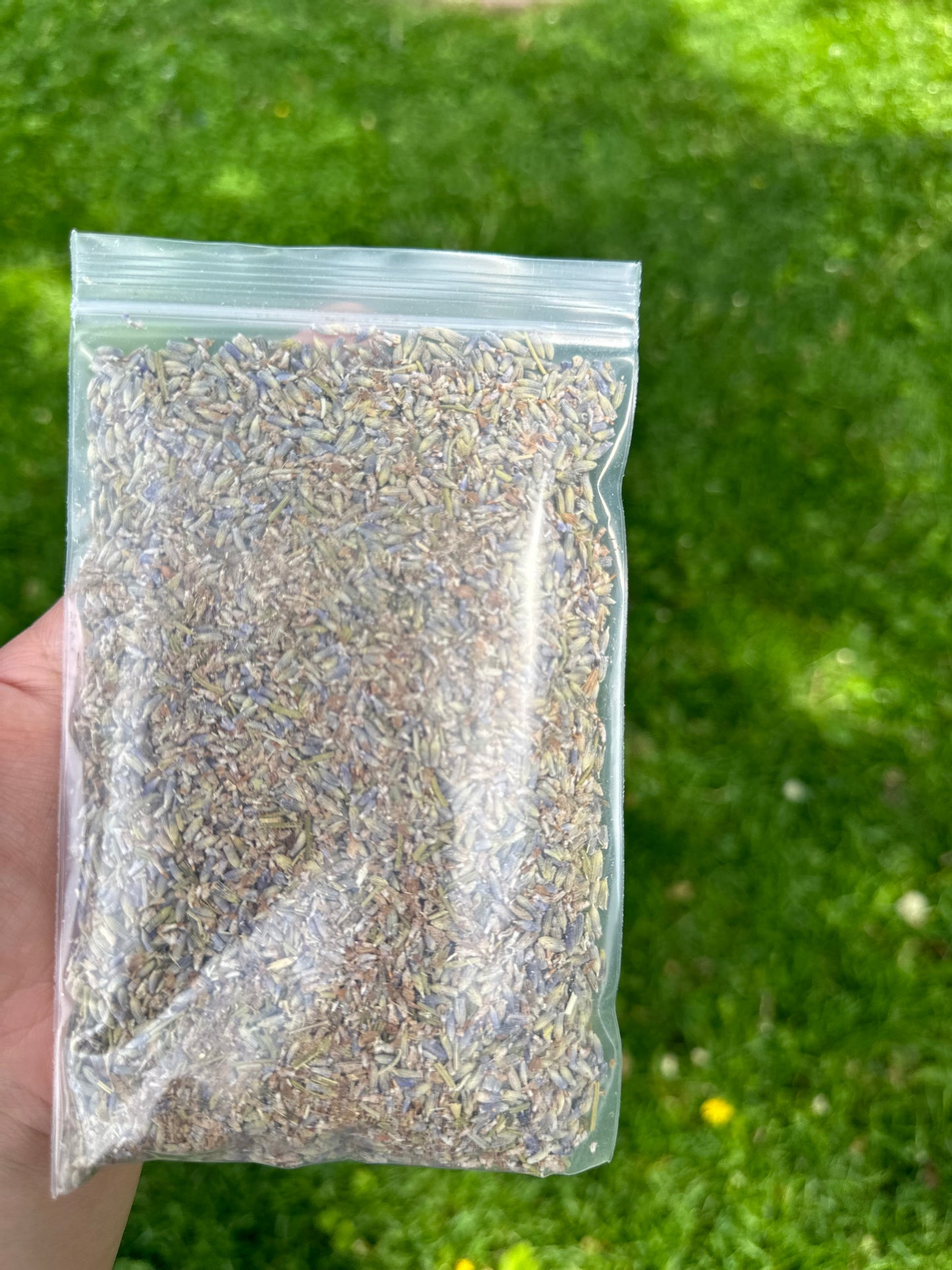 Lavender Flower herb 1oz