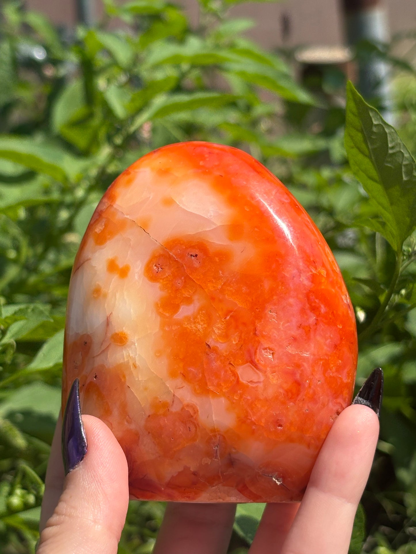Carnelian Standing Freeform