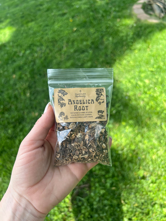 Angelica root 1oz bag