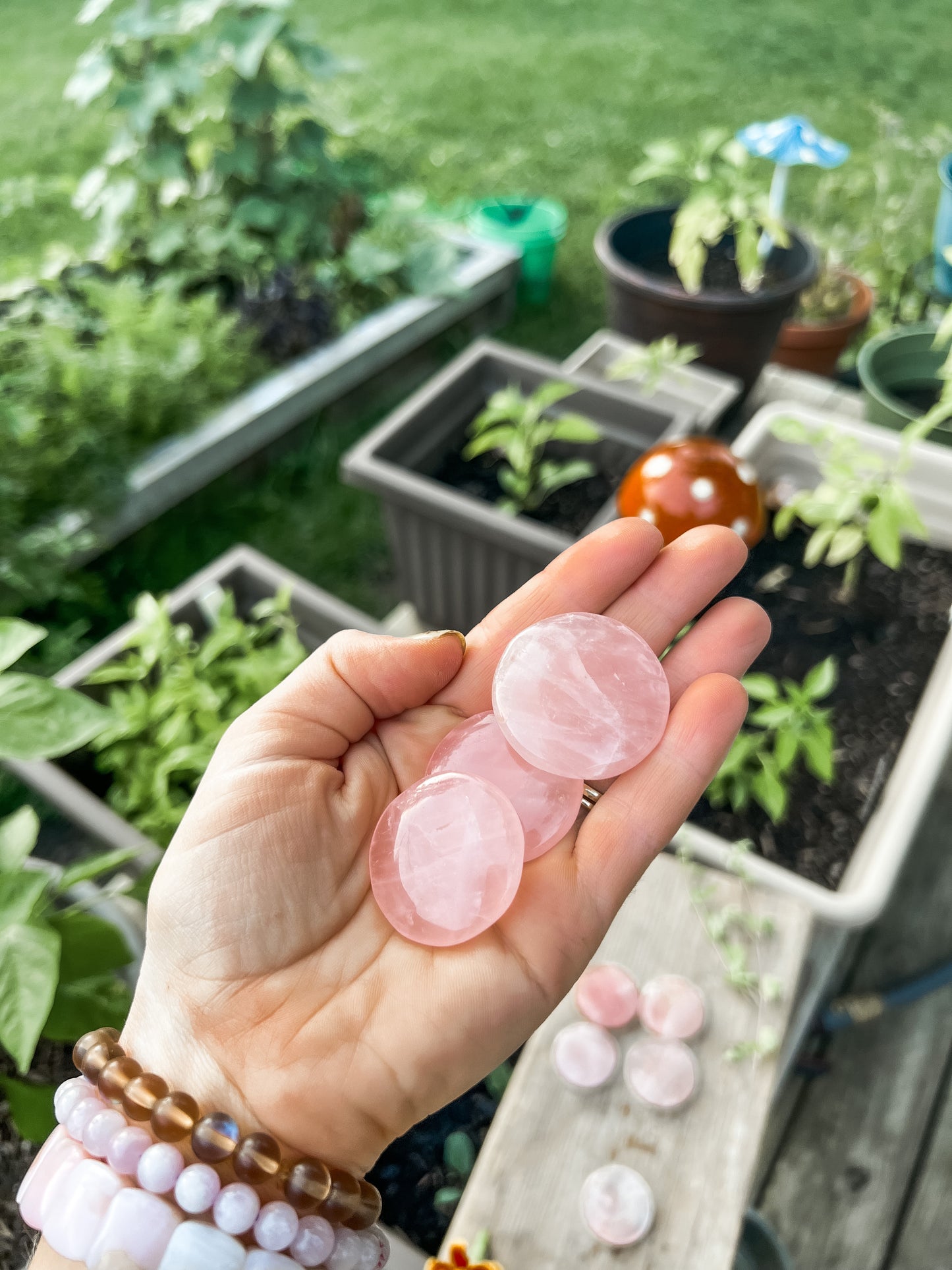 Rose Quartz coin stone