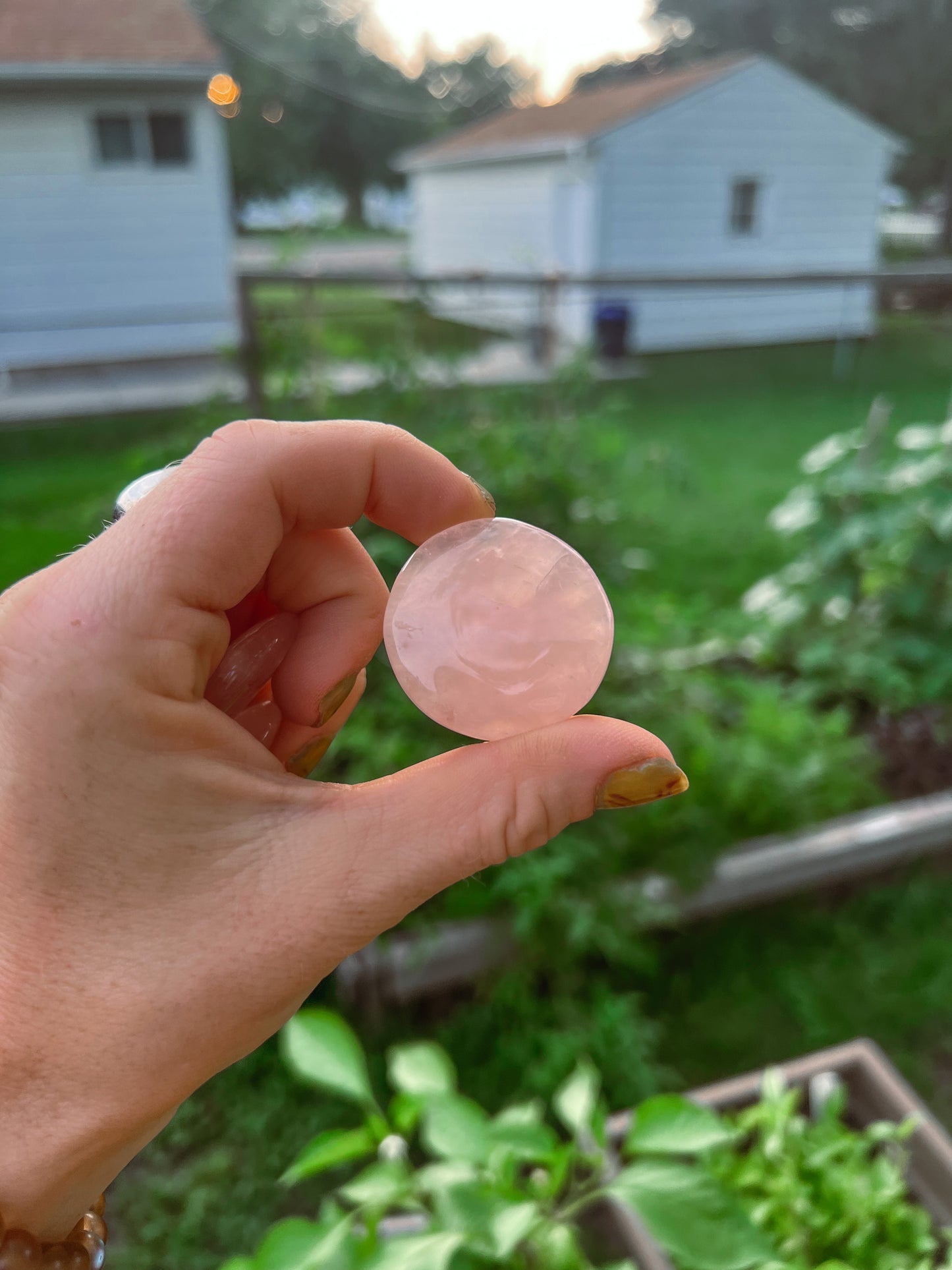 Rose Quartz coin stone