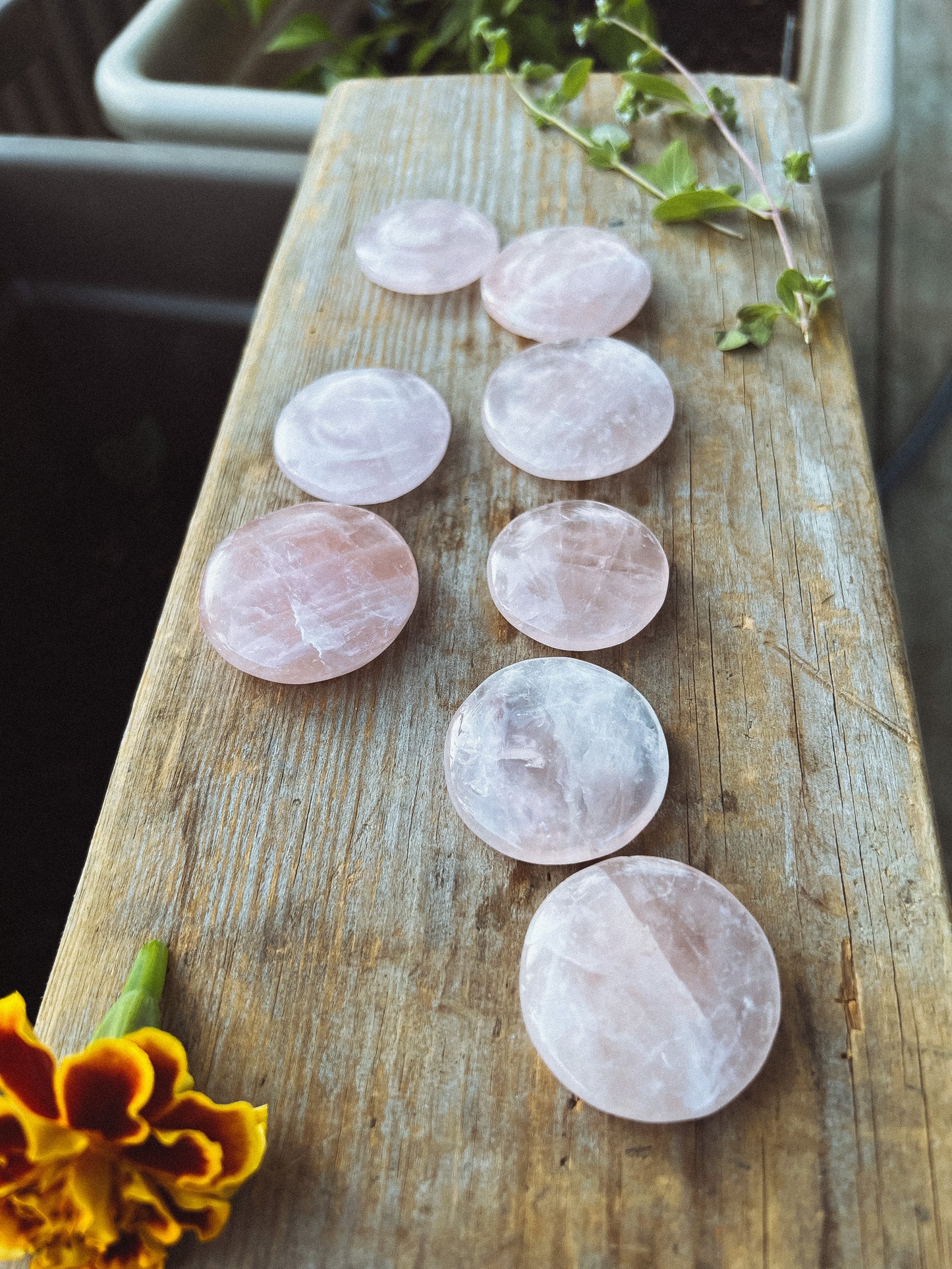 Rose Quartz coin stone