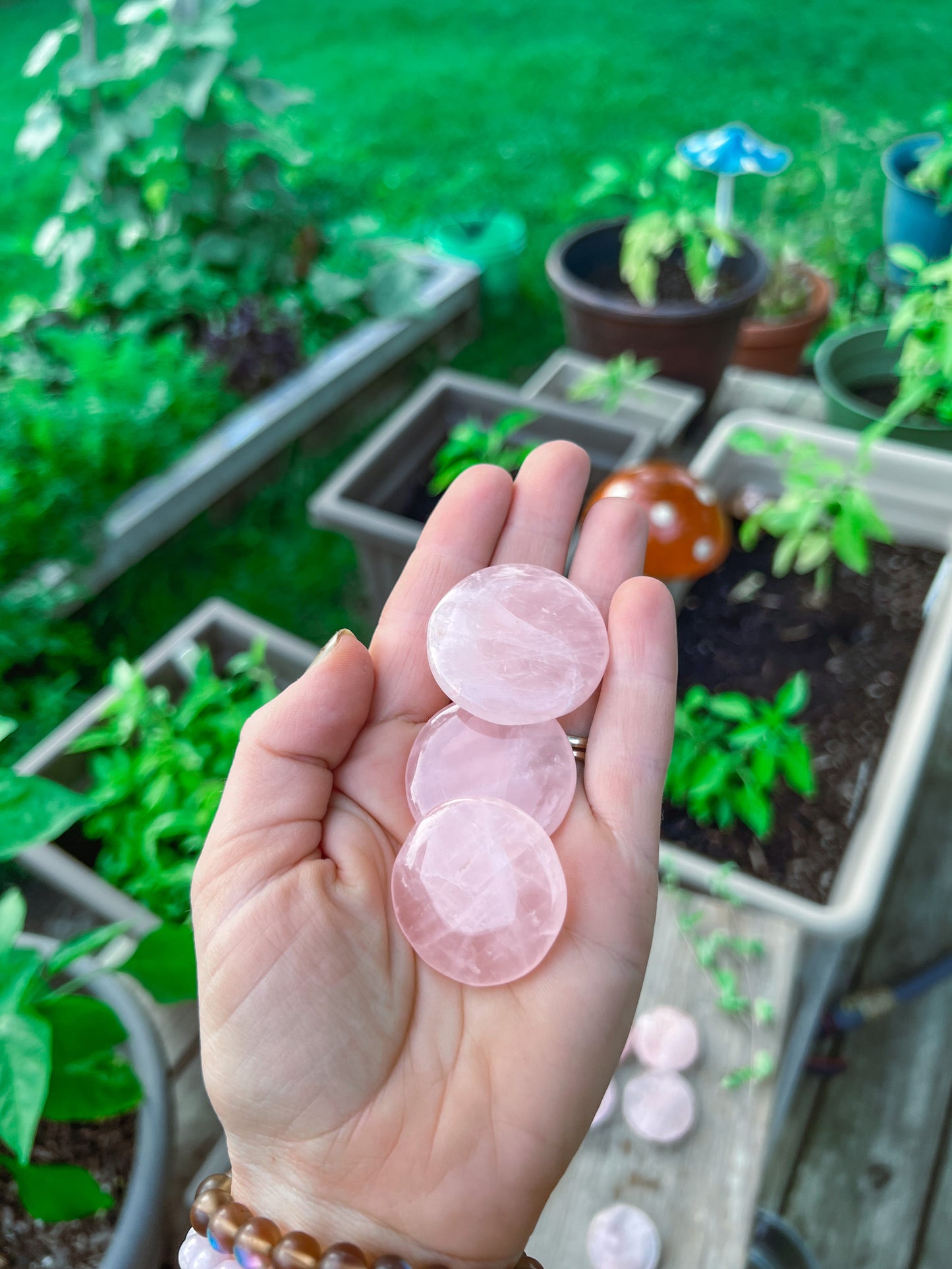 Rose Quartz coin stone