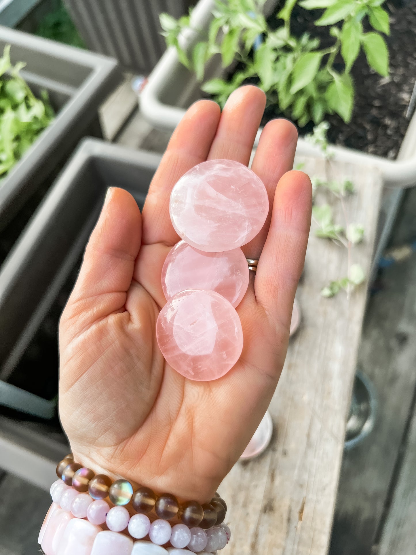 Rose Quartz coin stone