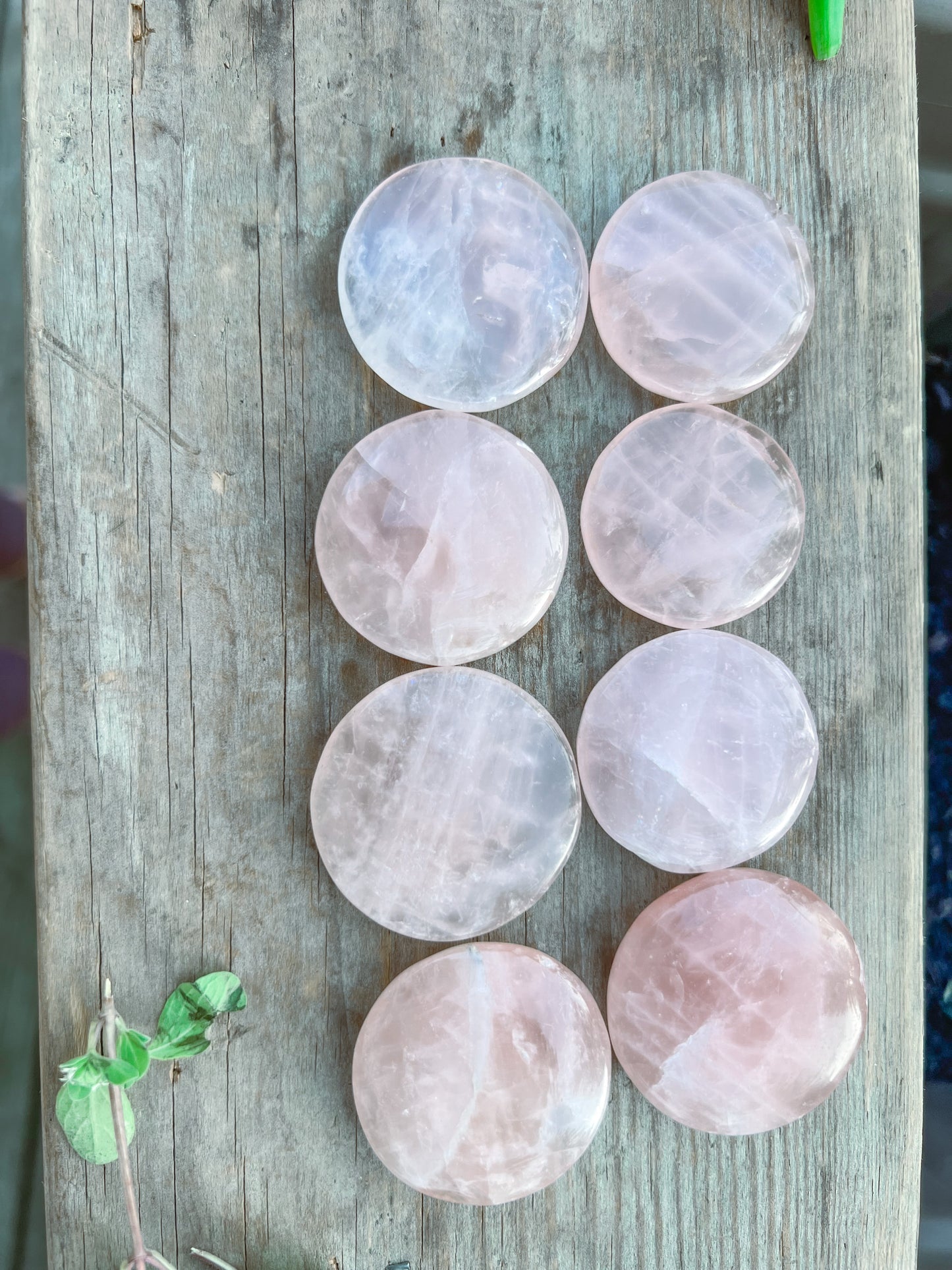 Rose Quartz coin stone