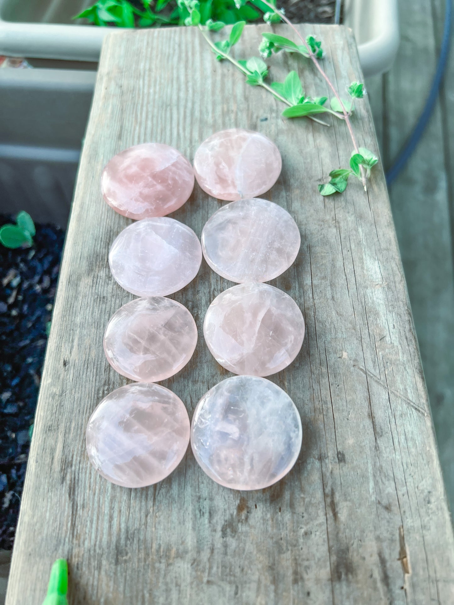 Rose Quartz coin stone