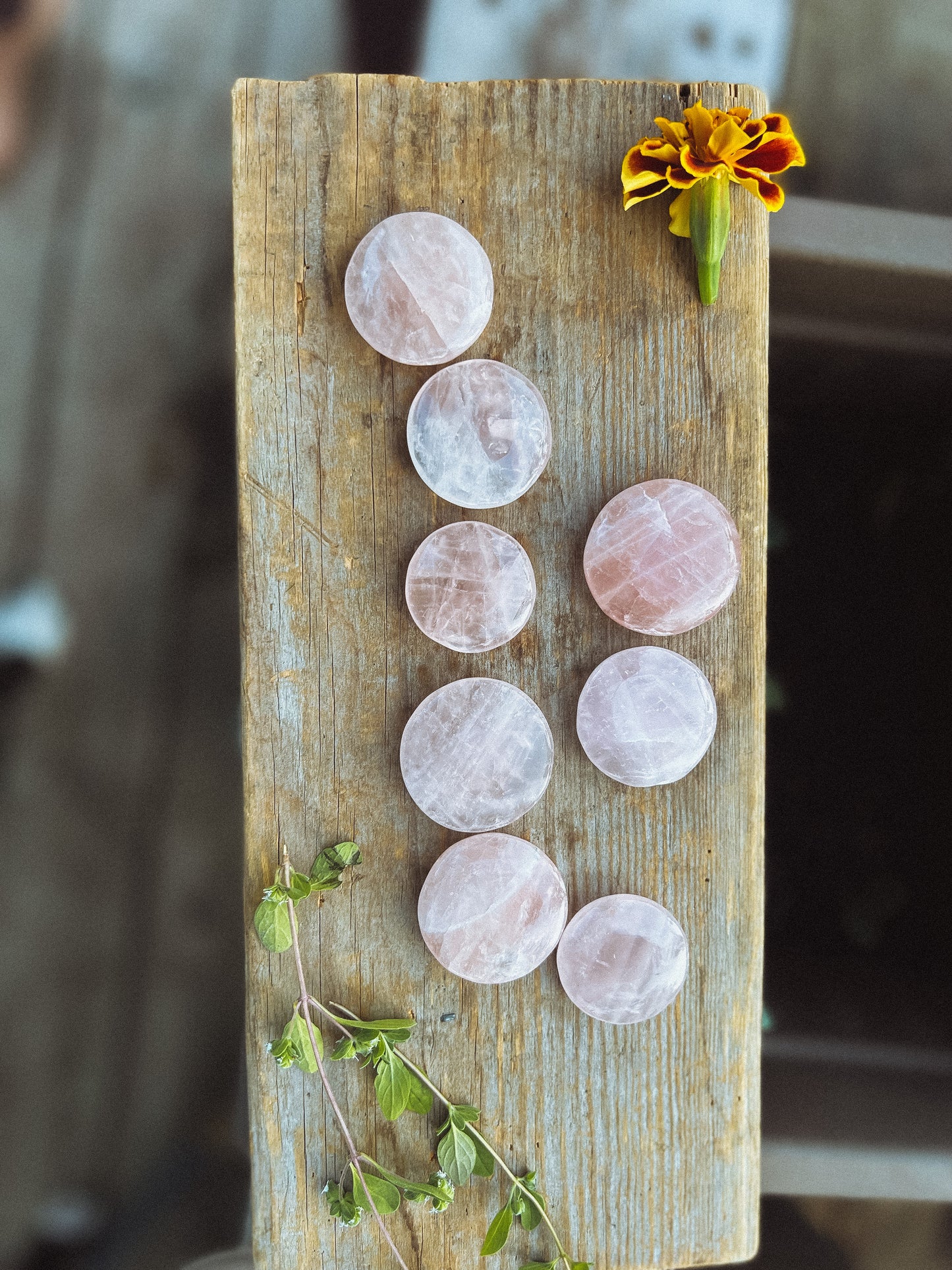 Rose Quartz coin stone