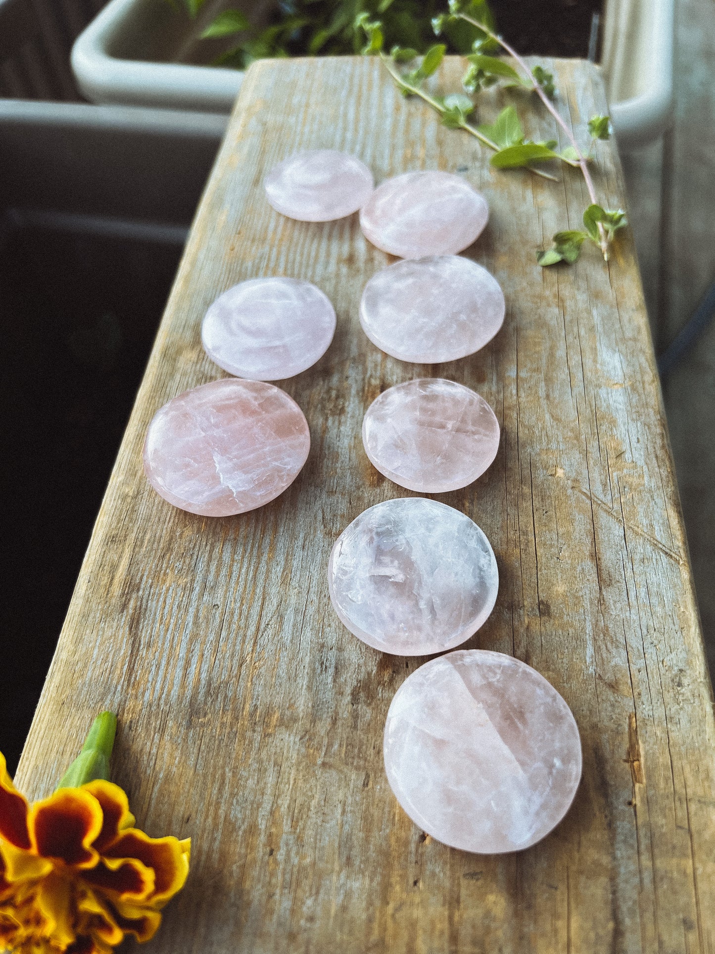Rose Quartz coin stone