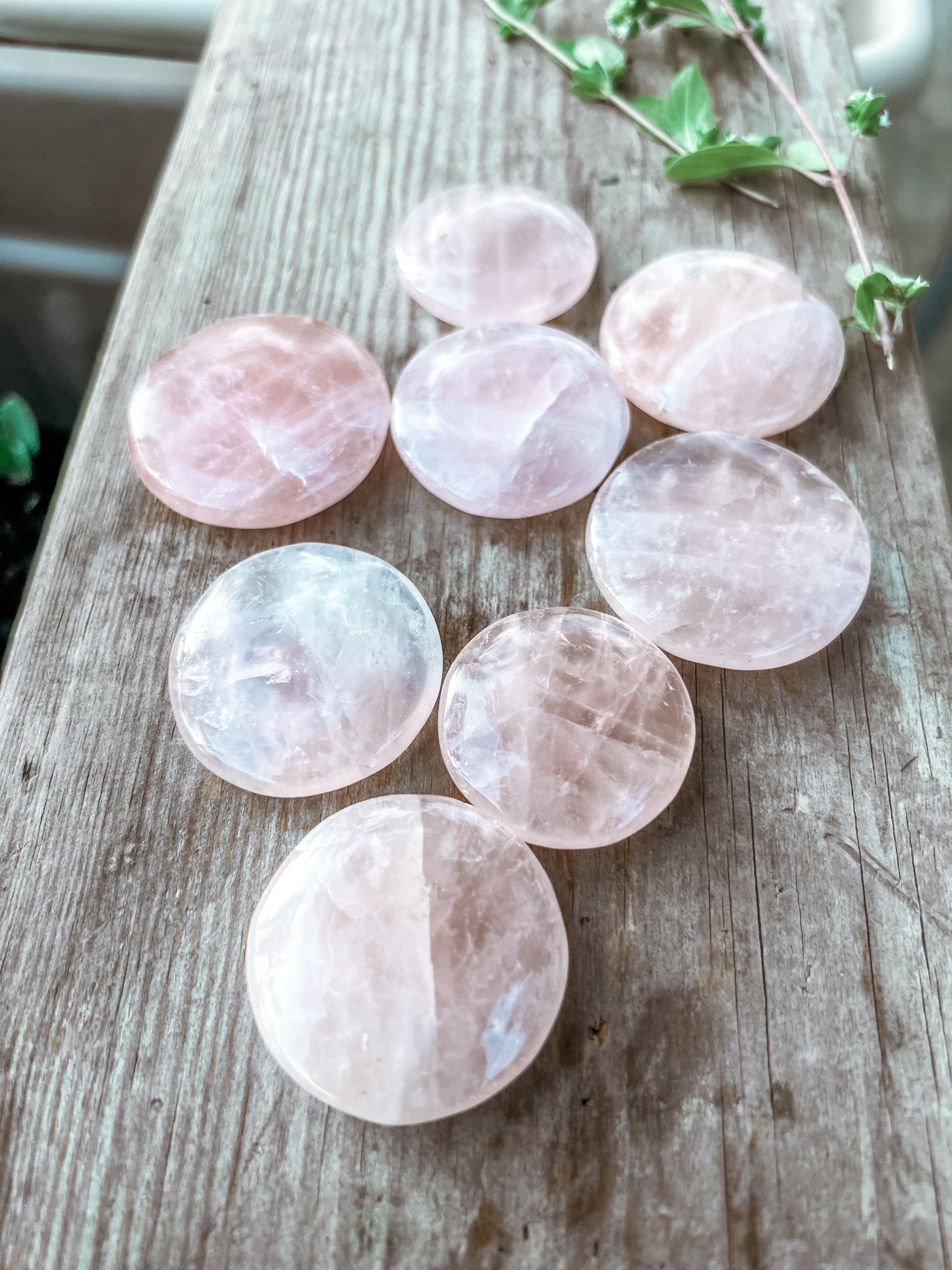 Rose Quartz coin stone