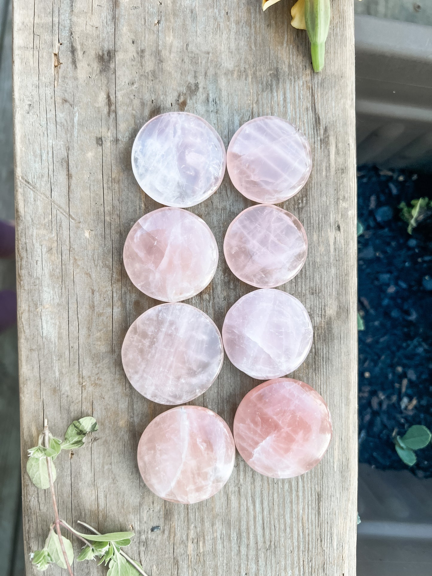 Rose Quartz coin stone